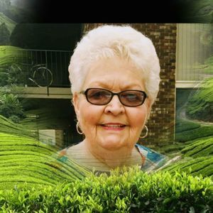 Meet your Posher, Nellie